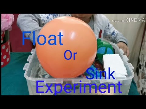 Float or sink experiment