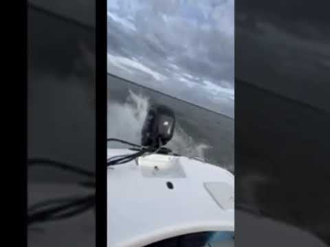 60 HP EFI Mercury Out on the water