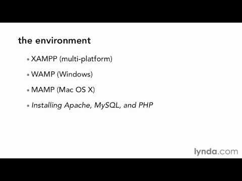 02 Using the exercise files