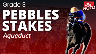DRF Sunday Race of the Day | G3 Pebbles Stakes | November 16, 2025
