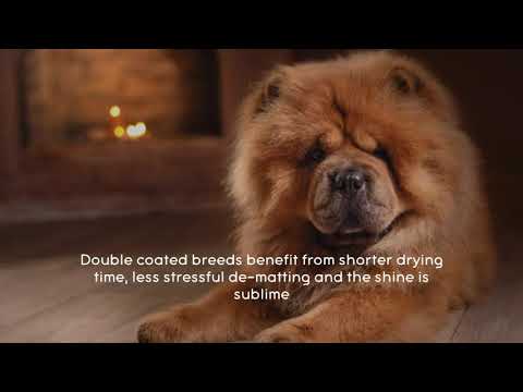 The Blissful Dog Shine-On + Sheen Coat Spray, All Natural Leave in Conditioner and Detangler Reviews