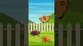 Kids Educational Videos | Kindergarten and Elementary ENGLISH Math SCIENCE | BUGS