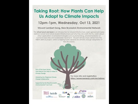 Taking Root: How Plants Can Help us Adapt to Climate Impacts