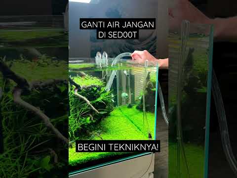 Kotor! begini cara ganti air tanpa di sed00t