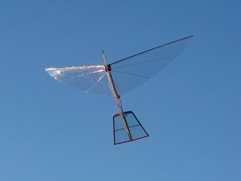 Servo Powered Ornithopter - S1 Robotic Bird - Build from Easy DIY Kit