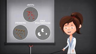 Basics of PCR