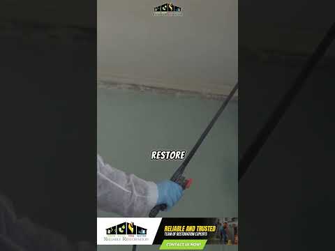 Mold Problems Reliable Restoration Has You Covered in Albuquerque! #shorts #moldremediation