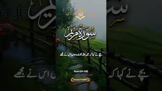 سورۃ مریم #duet #allbayan #quranquotes #quran #quotes #quranictranslation #bayan #islamicquotes