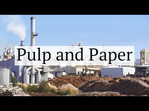 Durlon Case Study - Pulp & Paper