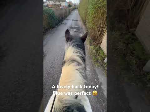 #horse #horsegirl #equestrain #confidence #equestrainlife #cute
