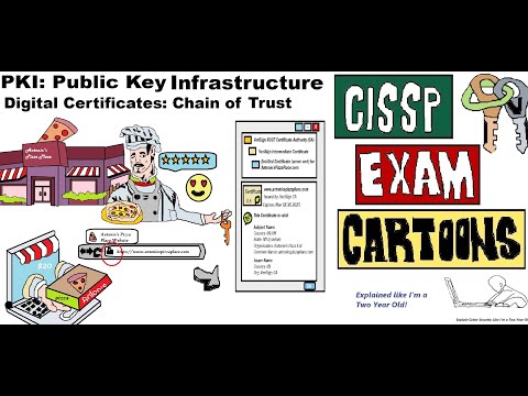 CISSP Cyber Security: PKI Public Key Infrastructure: Digital Certificate #publickey #sslcertificates