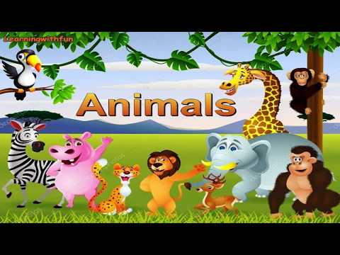 ANIMALS FOR KINDERGARTEN | WILD ANIMALS | DOMESTIC ANIMALS | ANIMALS WITH PICTURES FOR KIDS