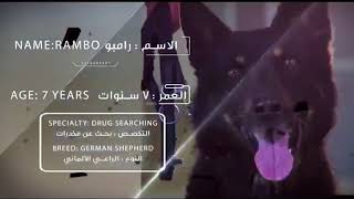 Police Dogs Dubai