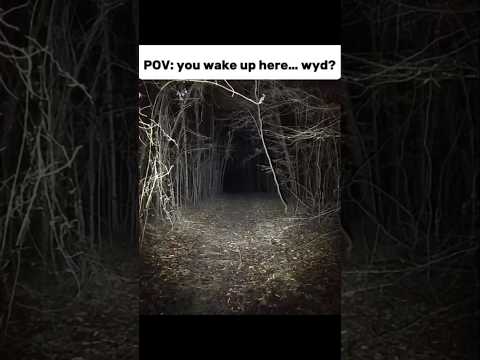 you wake up here, wyd?