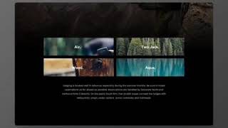 Flutter Web App Design Concept