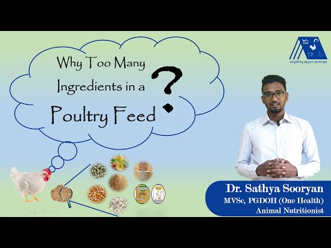 Why There are too Many Ingredients in a Poultry Feed | Dr. Sathya Sooryan | Poultry Feed 1