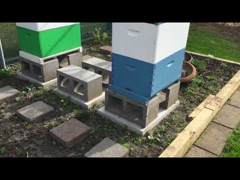 Vlog #6 Opening the Beehives at Springvale Community Gardens