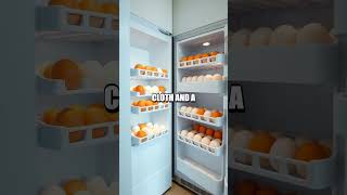 5 Unmissable Life Hacks for Everyday Efficiency!