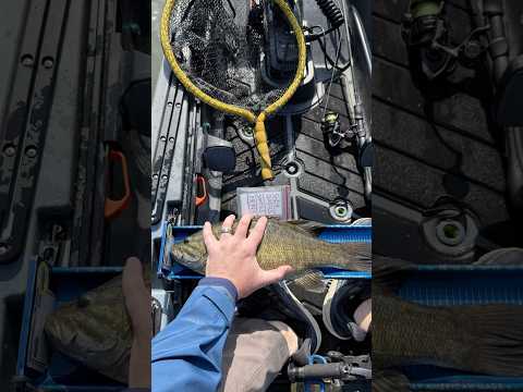 Kansas Kayak Anglers - Perry Lake #fishing #outdoors
