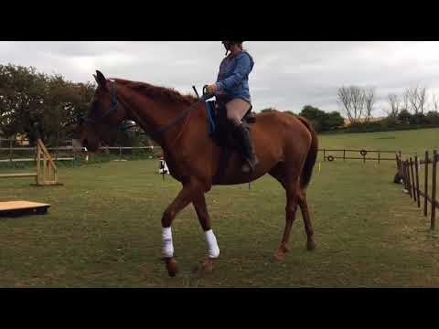 Dolly and Sarah Freestyle L2 Audition