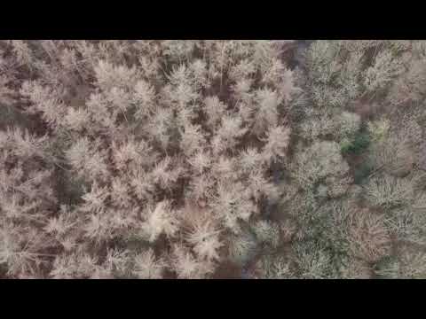 Derwent Walk Bridges - Xmas day - mavic air 2