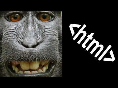 How To Create The Most Basic HTML Document