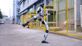 Unitree G1: The Kungfu Bot Redefining Humanoid Robotics!