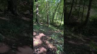 work hard play hard #workhardplayhard #homestead #clearing @noodleswithbutter1070