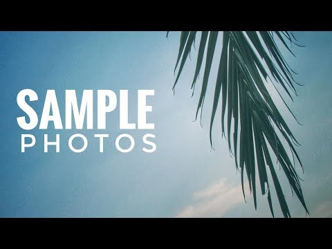 Canon PowerShot SX530 HS Sample Photos 2018 (Beach Edition)