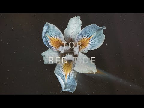 Tor - Red Tide (Official Audio)