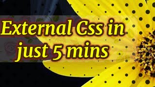 Web Designing & Development Tutorial19: External style sheet css in html with example