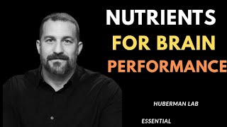 Foods & Supplements for Sharper Brain & Better Focus | Huberman Inspired Guide