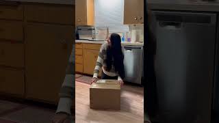Mouse prank on my husband😂 #madithechihuahua #mouseprank
