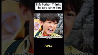 Python thinks the boy is her son #movie #movie #fyp #viral #python