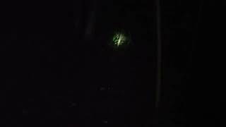 Unidentified object capture beside the river