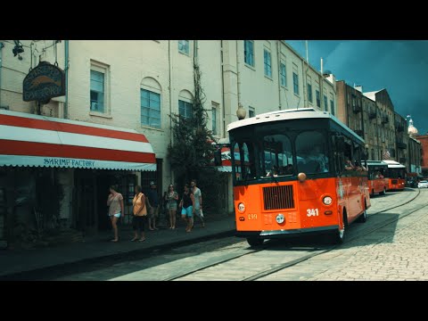 BMPCC OG Cinematic - Savannah (HDR)