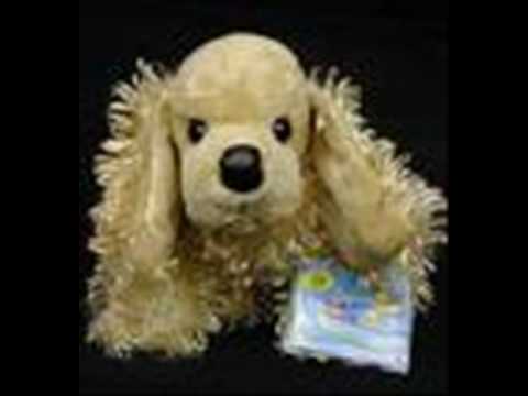 american cockerspaniel show theme song!