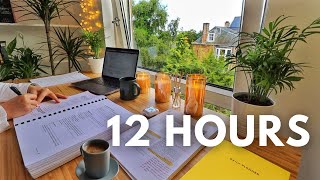 12 HOUR STUDY WITH ME   Background noise, 10 min Break, No music, Study with Merve