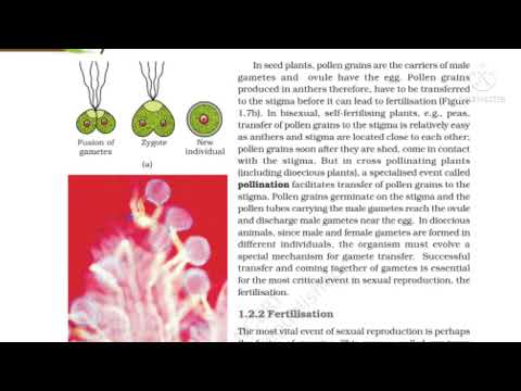 PART4 Events of sexual reproduction (reproduction in Organisms)/CBSE/NEET