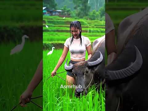 relaxing rainy atmosphere #rainsounds #rainoundforsleep #asmr #nature #asmrshorts #relaxingbath