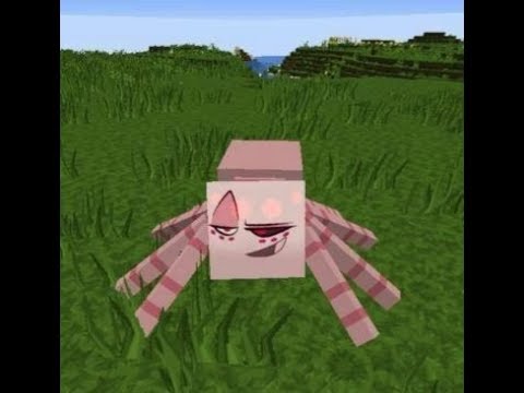 Spiders