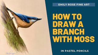 How to draw a tree branch with moss