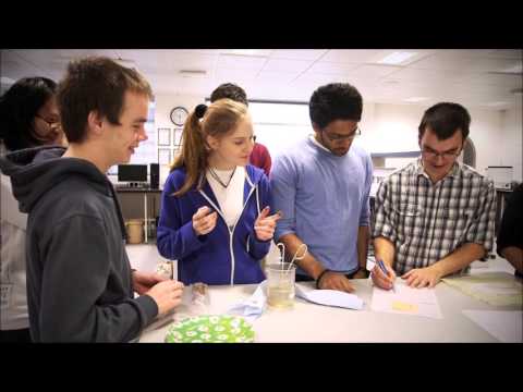 Meet Aerospace Materials student Omar