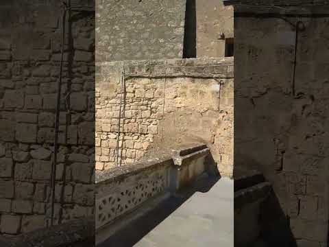 #gravel #cyclist #bikepacking #mylife #bike #gravelbike #adventure #fahrrad  #tarquinia