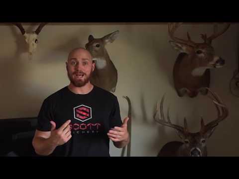 Why should you shave your head.