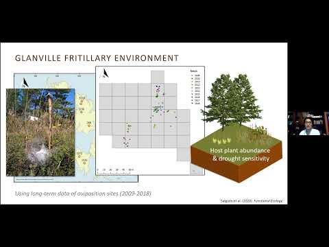 El Zoominario:  Ecological implications of host plant quality for herbivorous insects -- A. Salgado