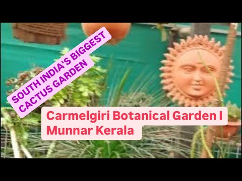 Carmelgiri Botanical Garden I Munnar Kerala I SOUTH INDIA'S BIGGEST CACTUS GARDEN I Hindi English