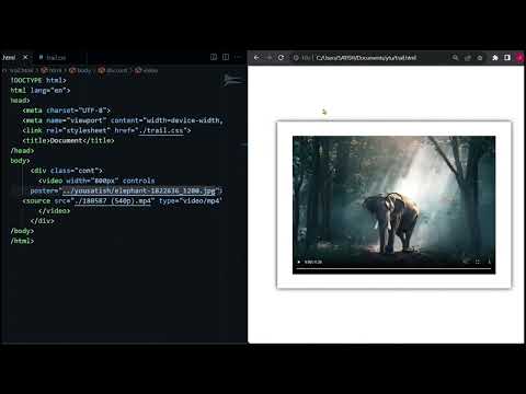 video audio tag in HTML CSS Tutorial