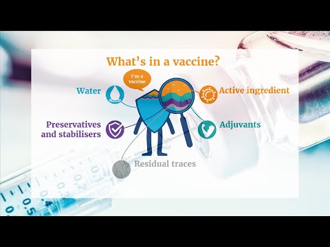 What are the ingredients in a vaccine? / What's in a vaccine?