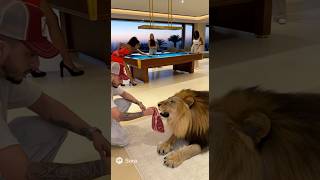 Just Feeding My Pet Lion Like It’s Another Day 😎🦁 #AIReality #cybershaw